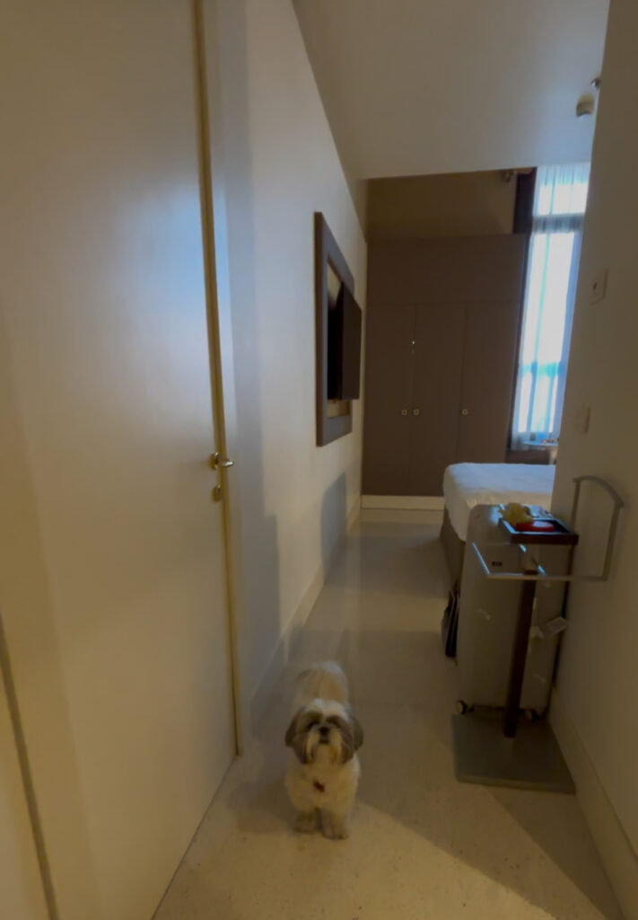 barrocci hotel review Venice