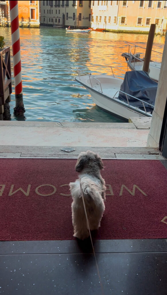 Venice hotel Barocci entrance