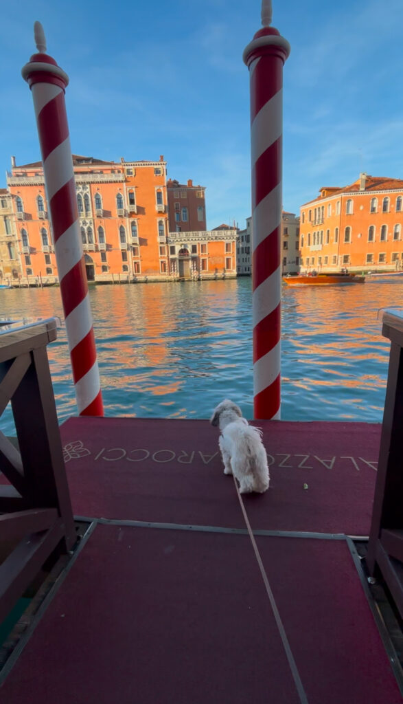Palazzo Barocci dock hotel review Venice
