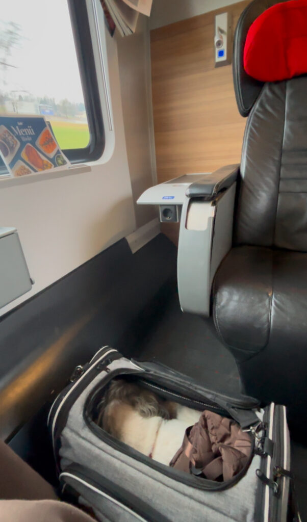 OBB business class interior seating pod with space for dog travel