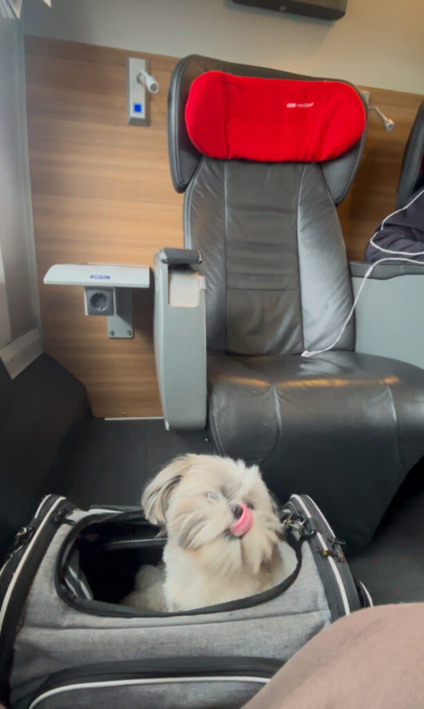 OBB business class interior seating pod with space for dog travel