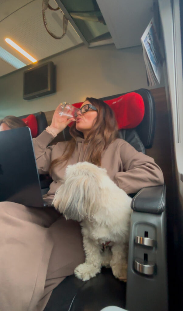 OBB business class interior seating pod with space for dog travel