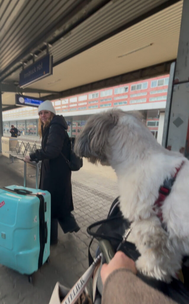 OBB Business Class worth it review