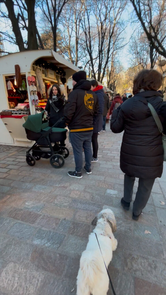 christmas markets Bolzano dog