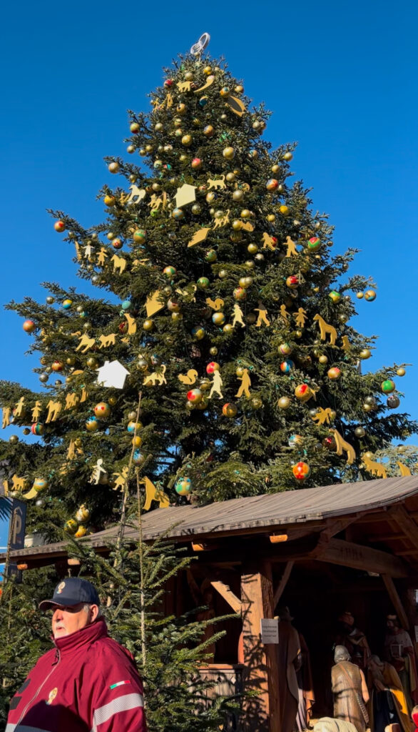 christmas markets Bolzano dog friendly