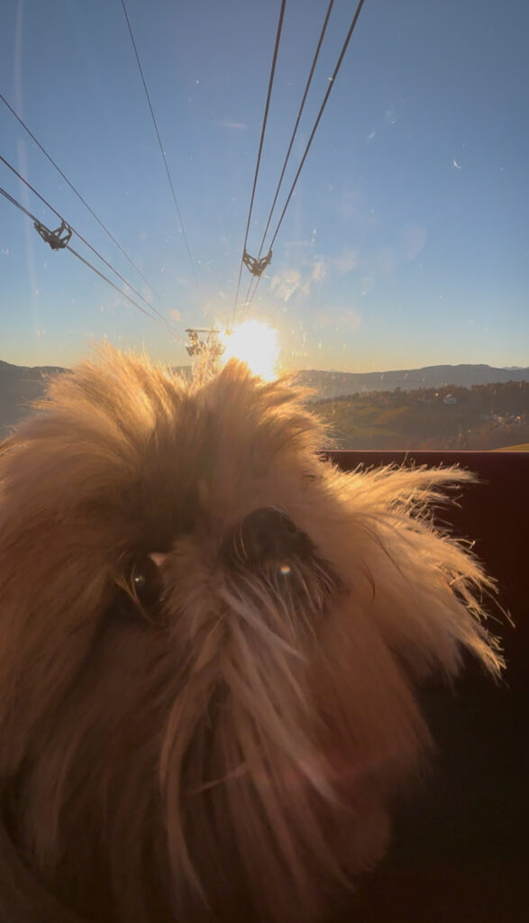 descending on the renew cable car Bolzano