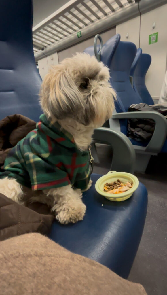 Train back to Venice