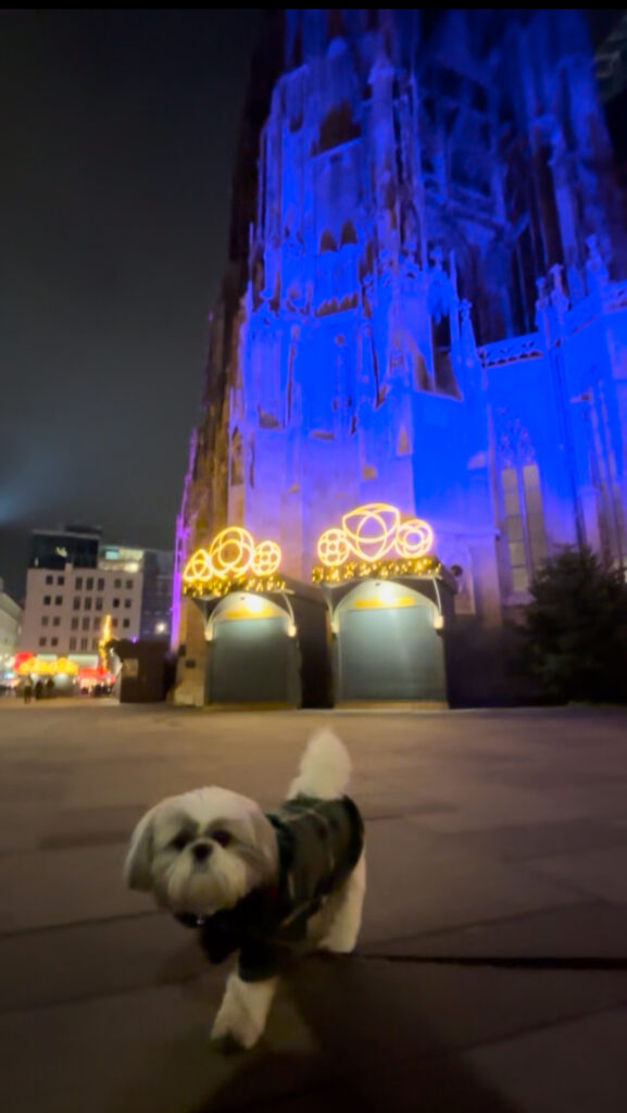 dog friendly Vienna guide