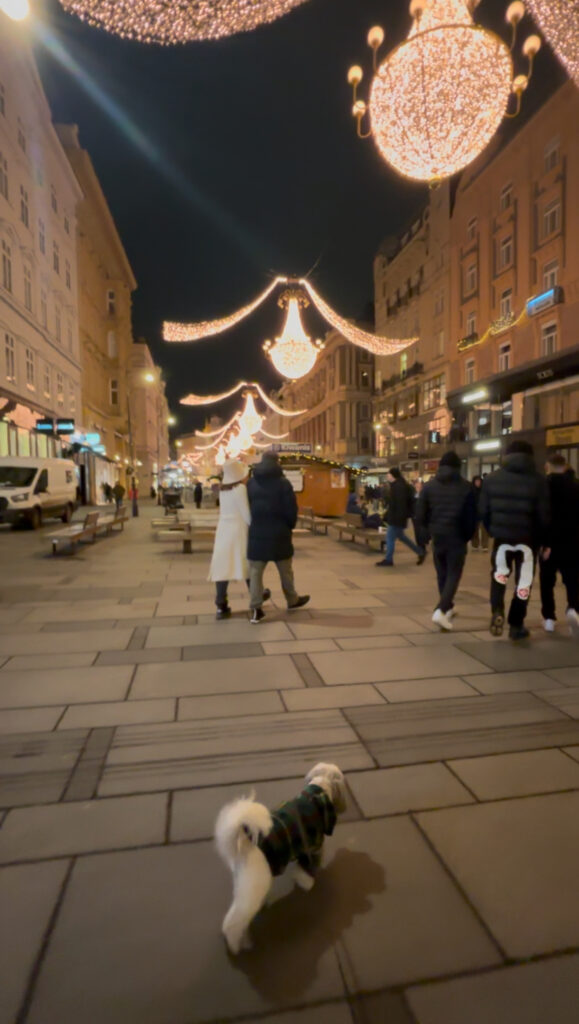 : Vienna's Graben or Kohlmarkt illuminated with Christmas chandeliers