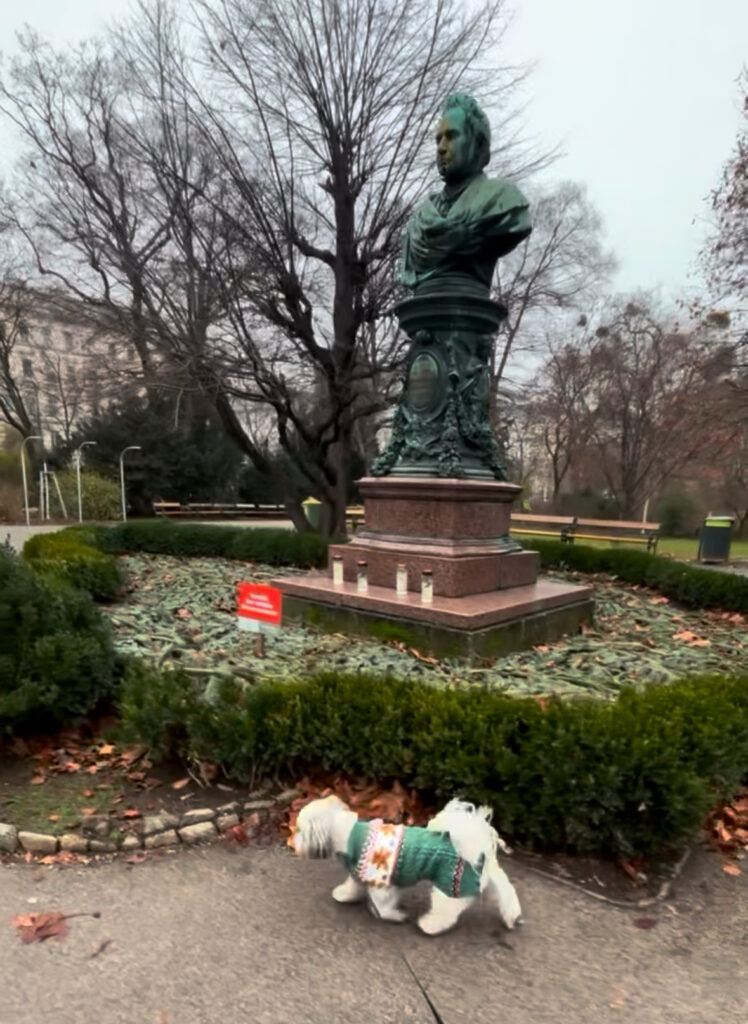 dog walking Vienna as a destination 