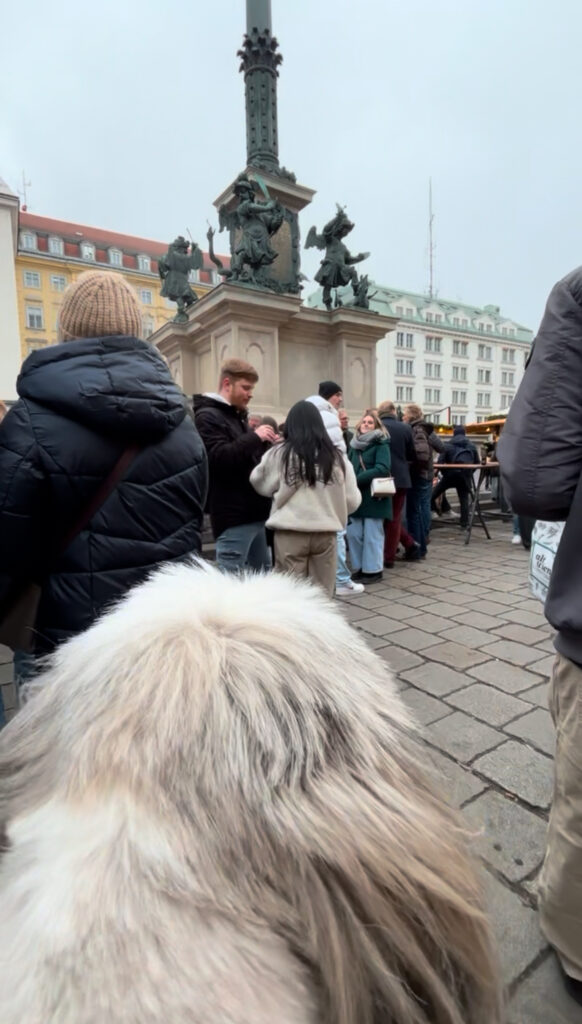 dog friendly Vienna guide