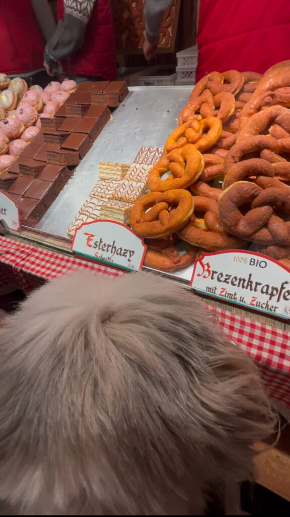 dog friendly Vienna guide