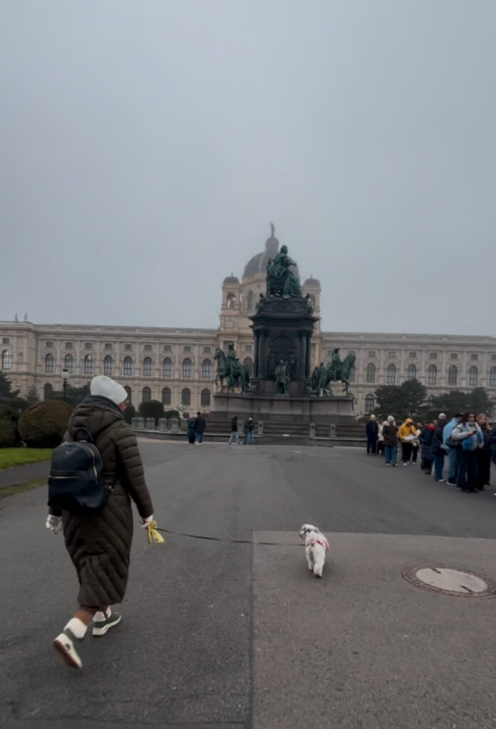 dog friendly Vienna guide
