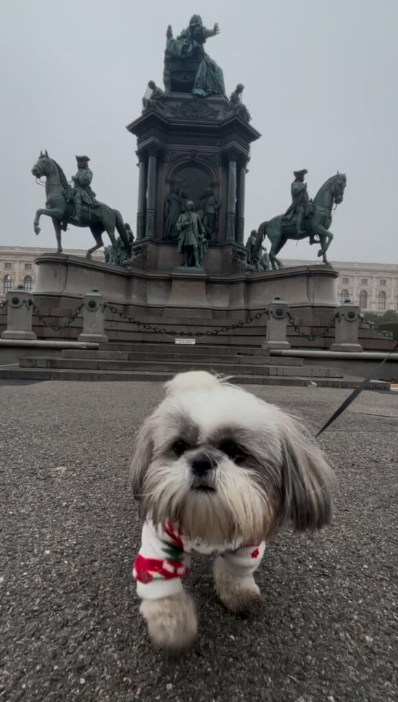 dog friendly Vienna guide
