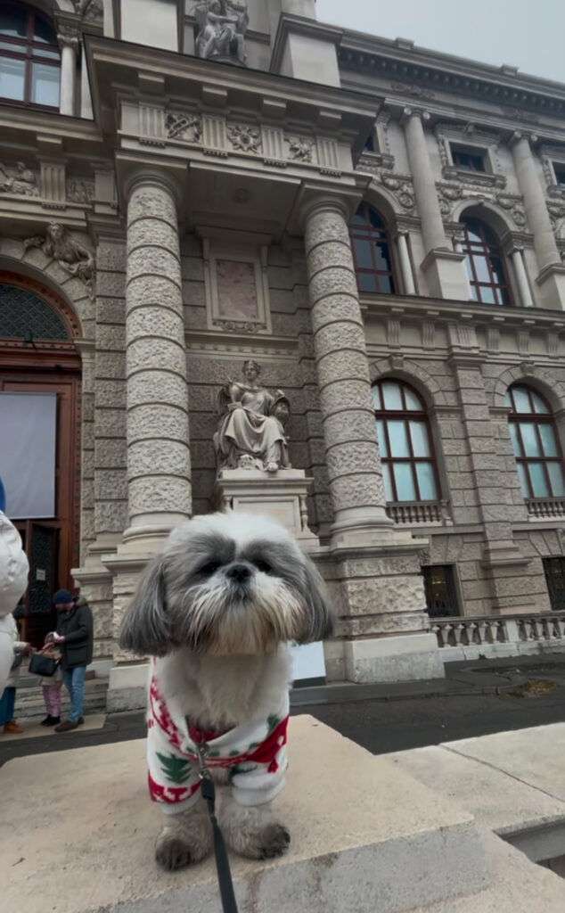 dog friendly Vienna guide