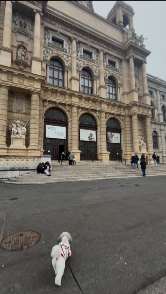 dog friendly Vienna guide