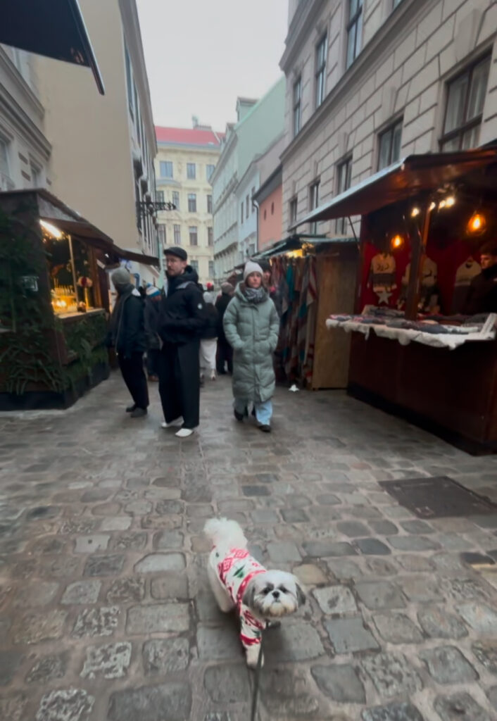 A daytime Christmas market scene in Vienna, ideally at the Museum Quarter marke