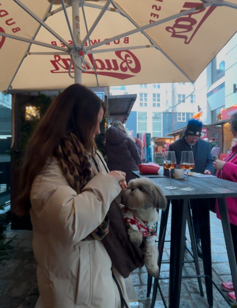 dog friendly Vienna guide