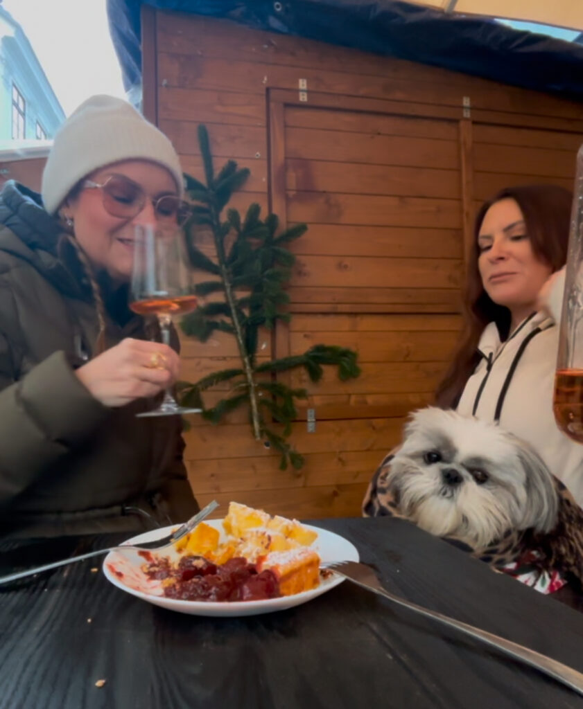 dog friendly Vienna guide