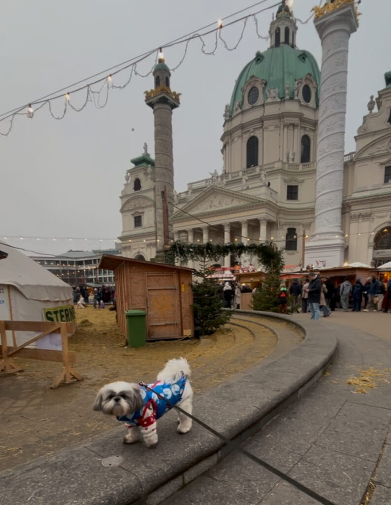 dog friendly christmas market daytime Vienna