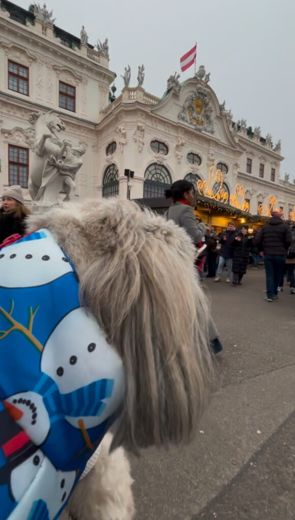 dog friendly Vienna guide