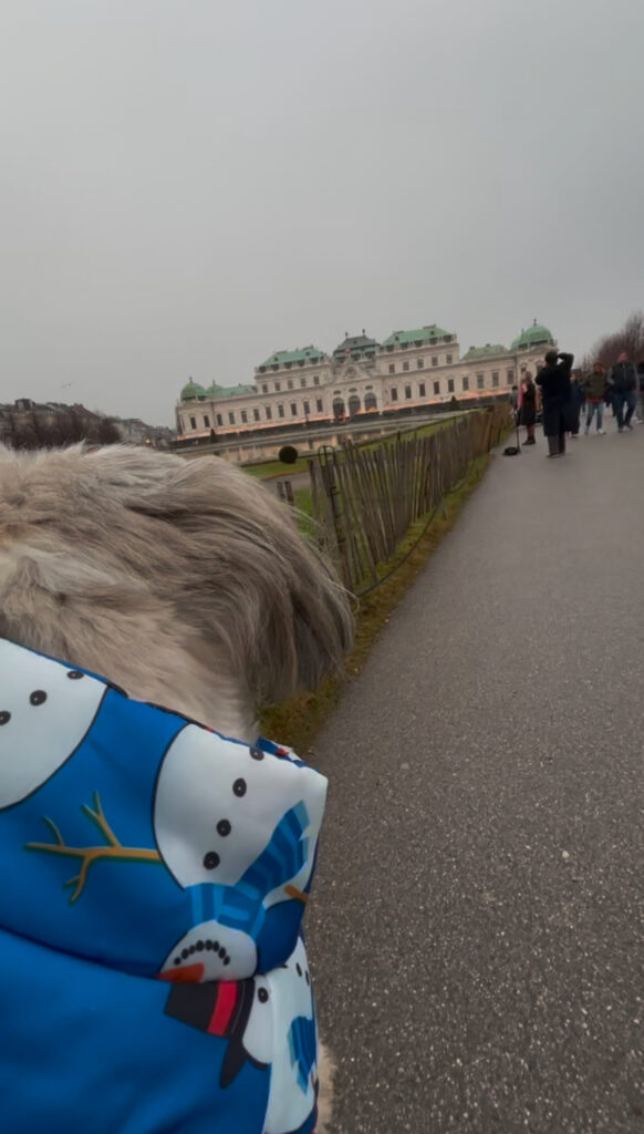 Belvedere dog friendly Vienna