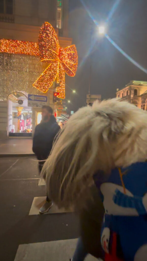 dog friendly Vienna guide