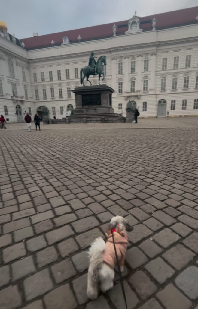 dog friendly Vienna guide