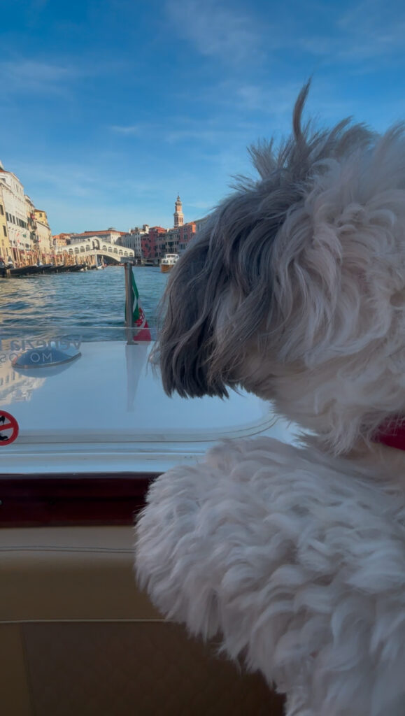 water taxi venice Marco Polo airport