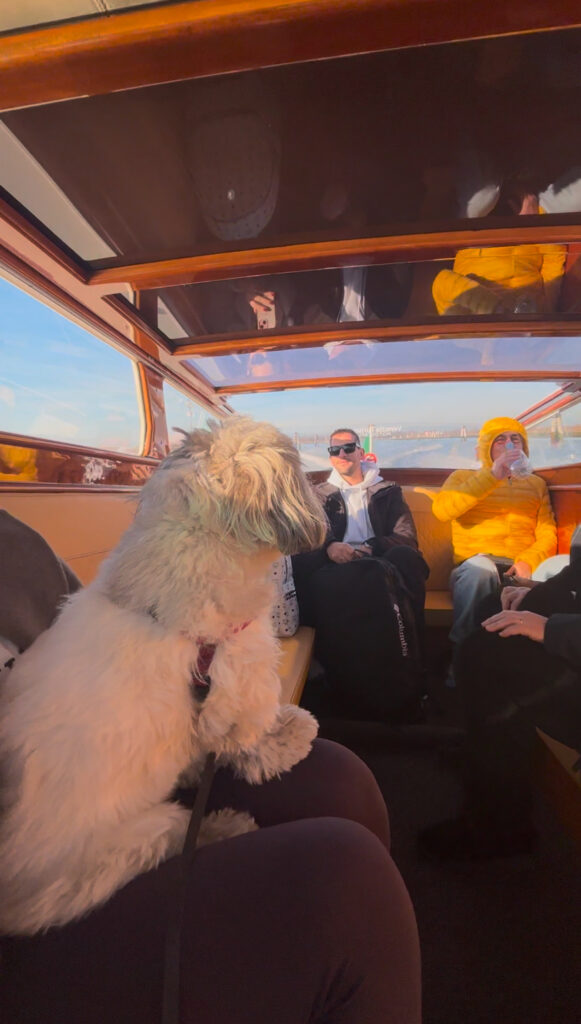 water taxi venice Marco Polo airport