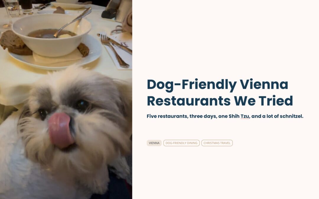 Dog-Friendly Vienna Restaurants We Tried