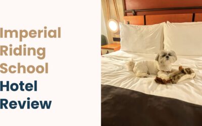 Imperial Riding School Vienna Hotel Review