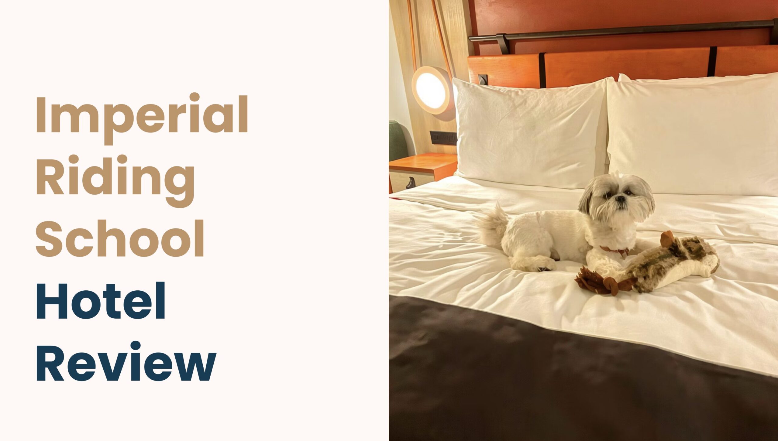 imperial riding school review