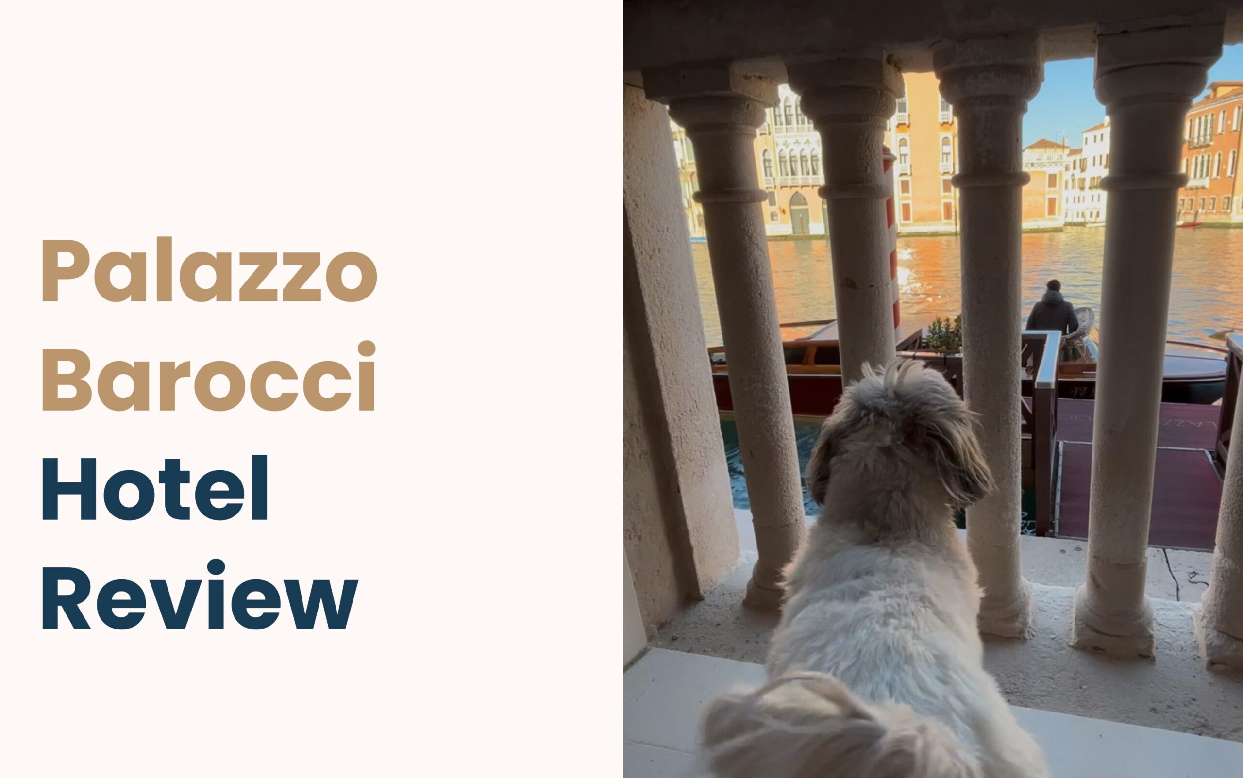 Venice hotel Barocci review Venice hotel Barocci review dog friendly
