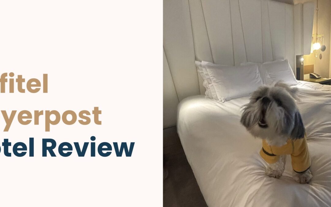 Sofitel Munich Bayerpost Dog-Friendly Luxury Hotel Review