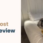 best dog friendly hotel munich Sofitel Bayerpost