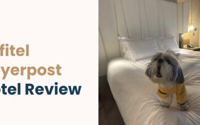 Sofitel Munich Bayerpost Dog-Friendly Luxury Hotel Review