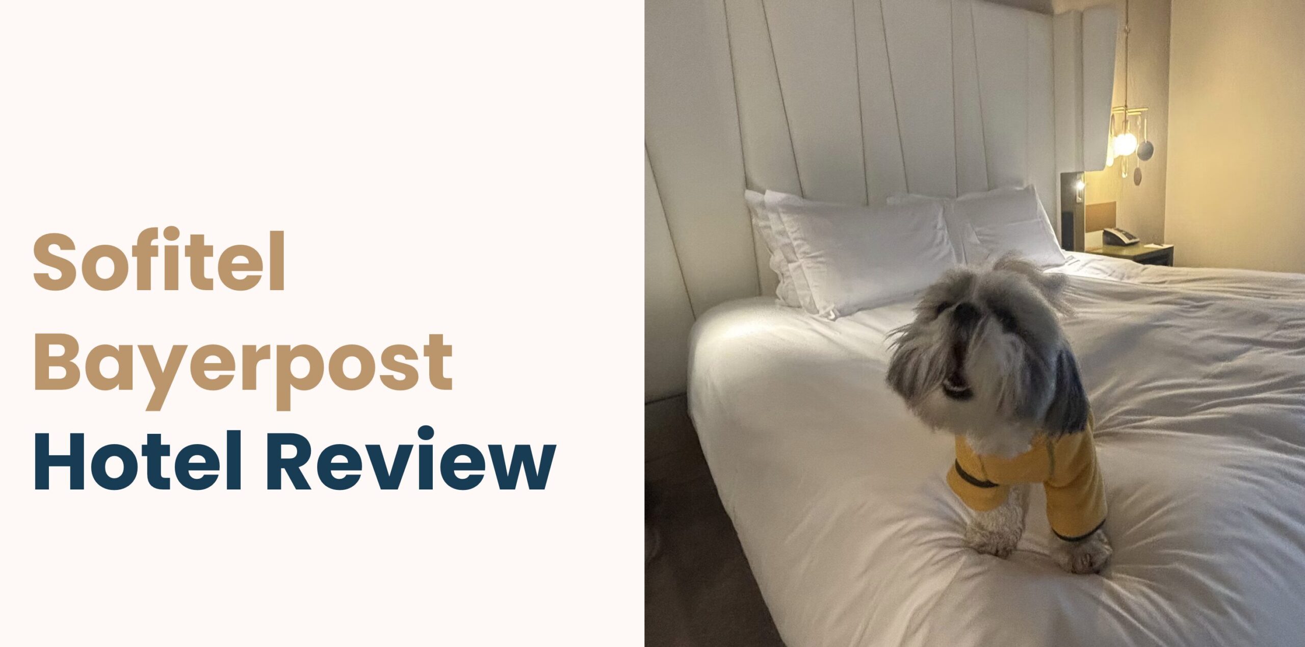 best dog friendly hotel munich Sofitel Bayerpost best dog friendly hotel munich Sofitel Bayerpost