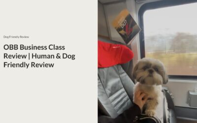 OBB Business Class. Is the Upgrade Worth It? | Travel with Your Dog