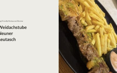 Weidachstube Neuner Leutasch, a Dog-Friendly Restaurant Review