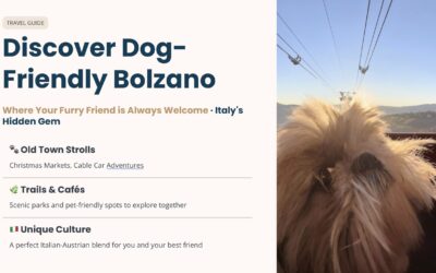 Dog-Friendly Bolzano and the Dolomites Day Trip from Venice