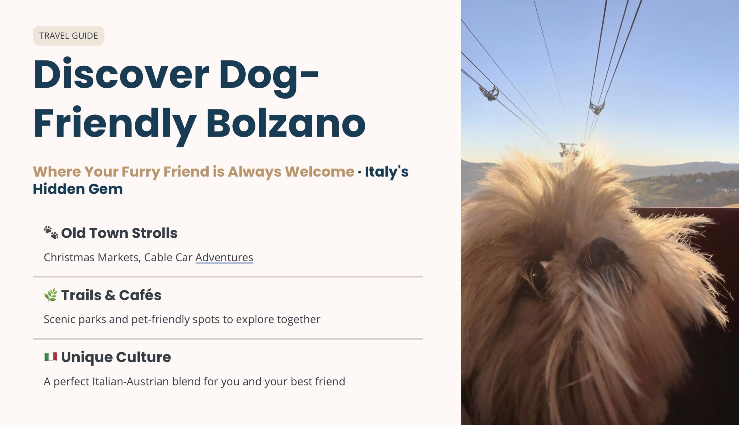 dog friendly day trip from Venice to Bolzano