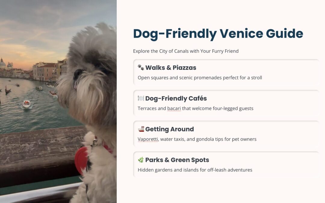 Dog-Friendly Venice Guide with Daisy