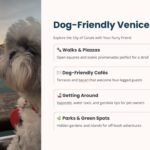 dog friendly venice guide