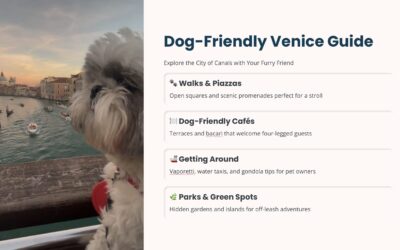 Dog-Friendly Venice Guide with Daisy