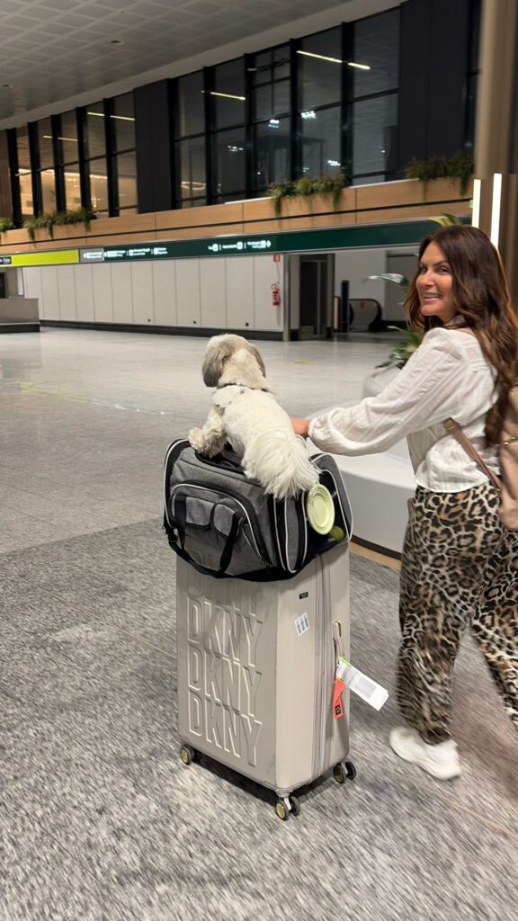 Arriving at Milan airport with a dog