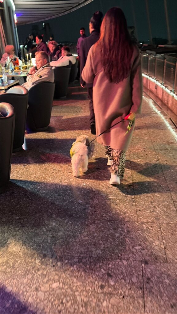 Rooftop at Hotel Dei Cavalieri Milan