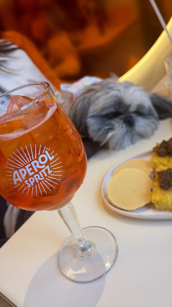 Aperol spritz bar Milan duomo dog friendly