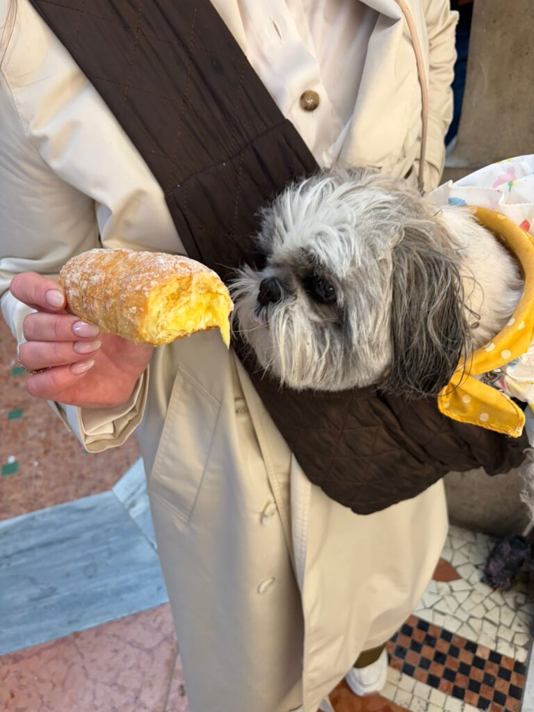 Biffino cannoli dog friendly