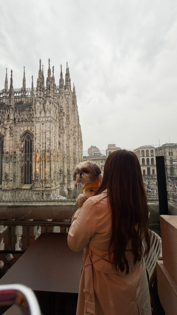 aperol bar dog friendly views is it worth it
